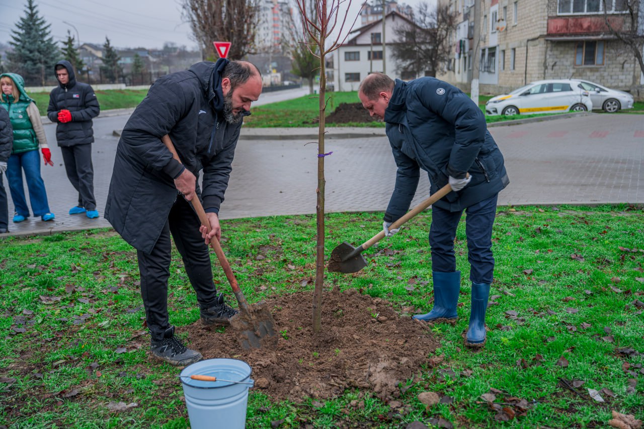 20145a1f-b74e-4d4b-b65d-25eeca7b0fd7