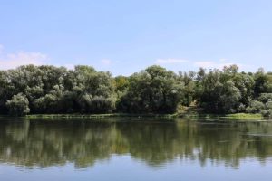 Informație utilă pentru locuitorii din suburbii, legată de poluarea râului Nistru și alimentarea cu apă a consumatorilor: Primarul General oferă detalii oficiale